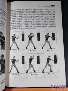 桑博格斗术教学视频,实战技巧解析与训练方法揭秘