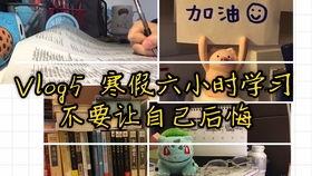 暴风最后的假期免费观看,尽享视听盛宴的最后狂欢