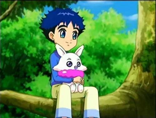 经典动画av有哪些,动画AV背后的故事与影响