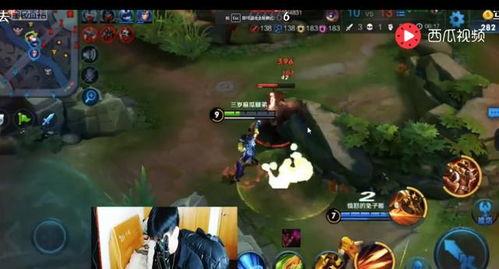 傻狐帝爆料视频,幕后真相大曝光