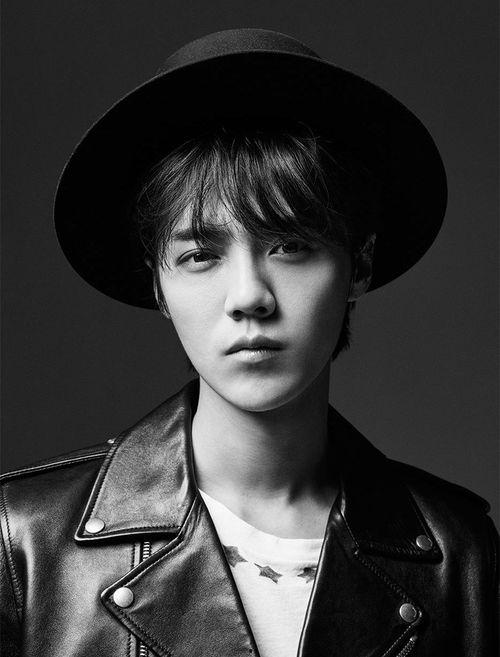 明星zdy,闪耀星途，璀璨人生