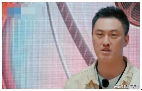 娱乐圈吃瓜爆料林更新,娱乐圈爆料背后的真相与争议