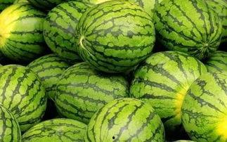 每日大赛在线吃瓜入口